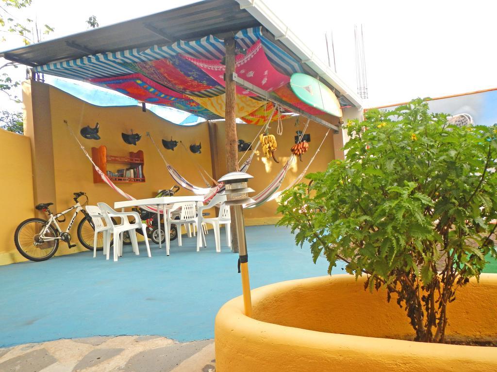 Bed and Breakfast Galapagos Eco Friendly à Puerto Baquerizo Moreno Extérieur photo
